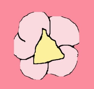첫 작