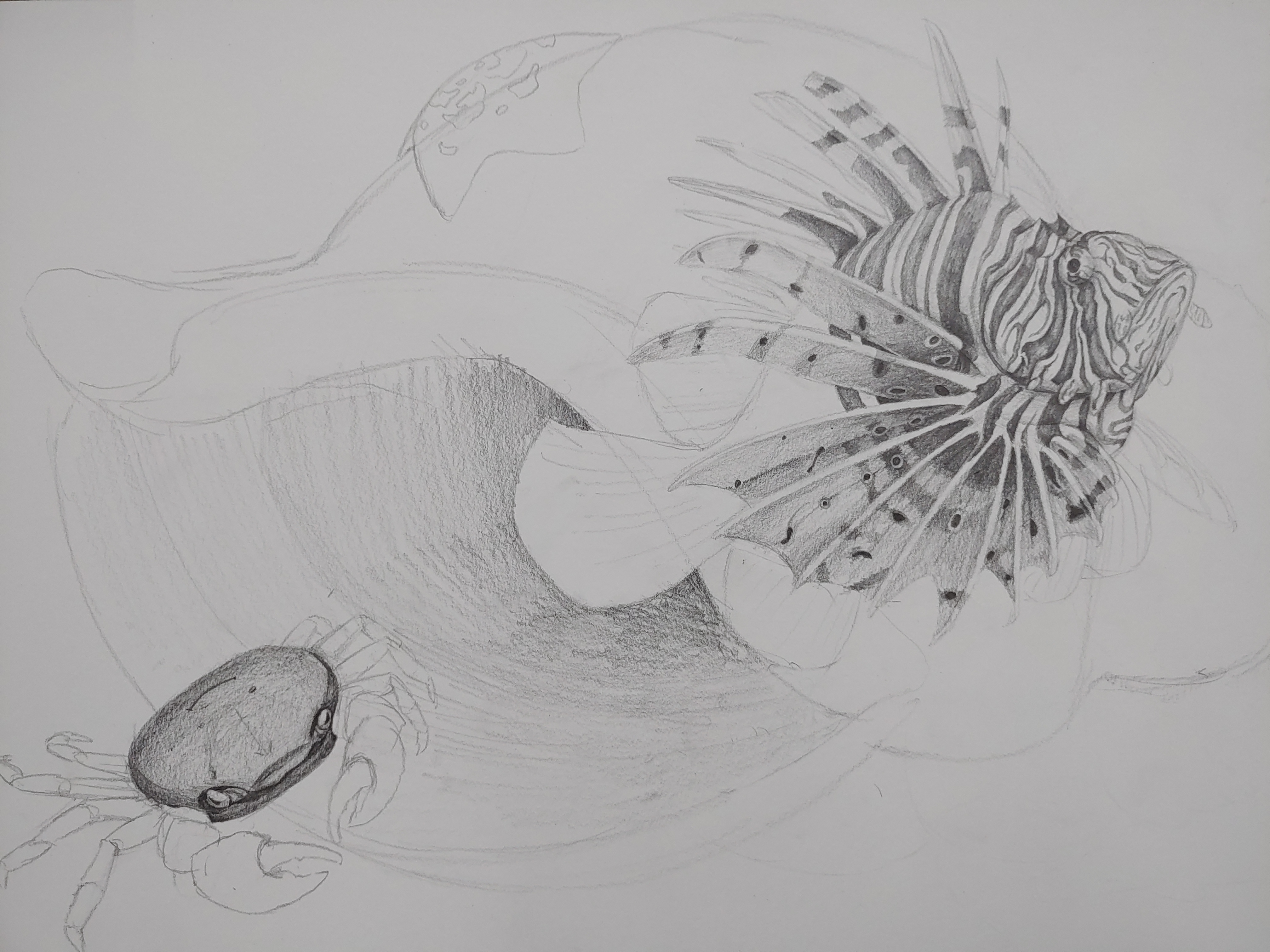 손그림) 쏠베감펭